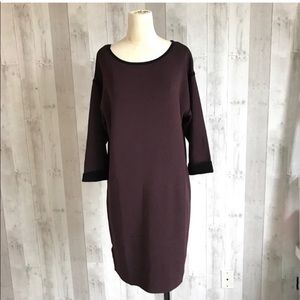 Ann taylor LOFT purple sweater dress large eggplant
